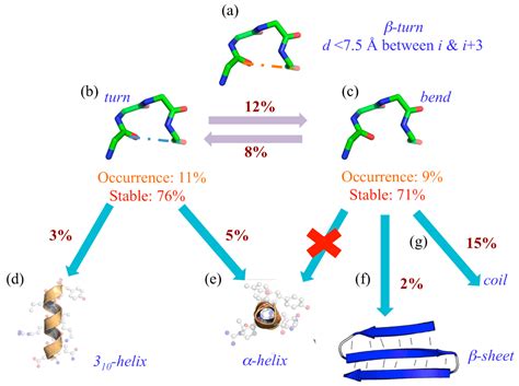 Molecular Twists: Understanding Protein Turns And Their Causes.